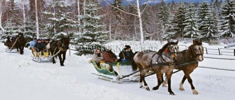 Фото Zakopiec 3*