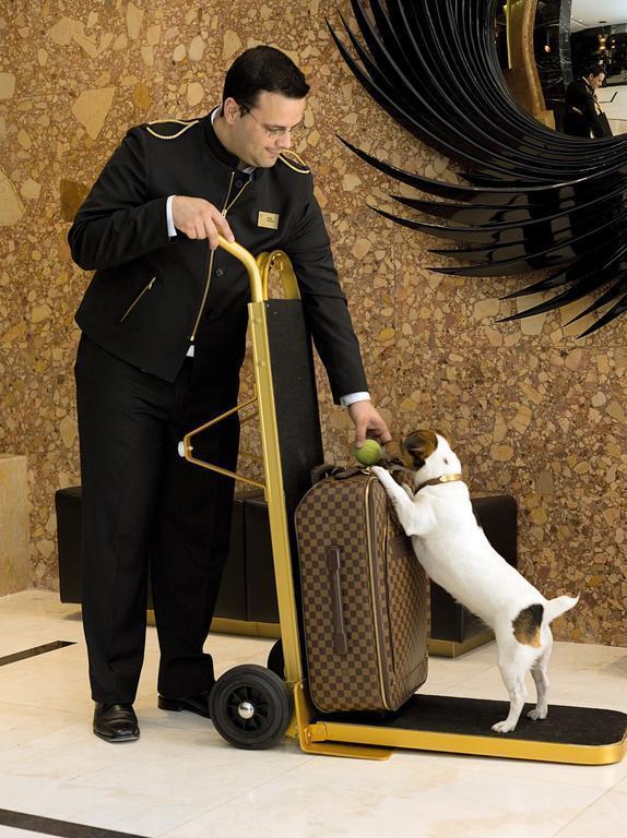 Фотография Altis Avenida 5*