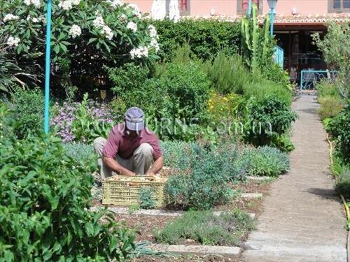 Фото Quinta Splendida 3*