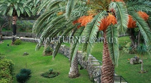 Dom Pedro Baia Club 4* суреті