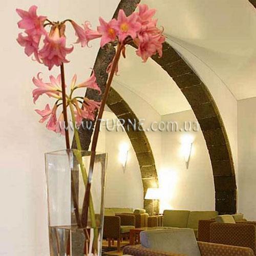 Картинка Hotel Do Colegio 4*