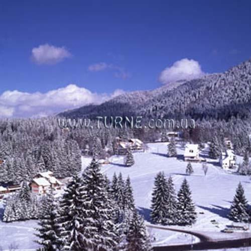 Фотография Wolf 4*