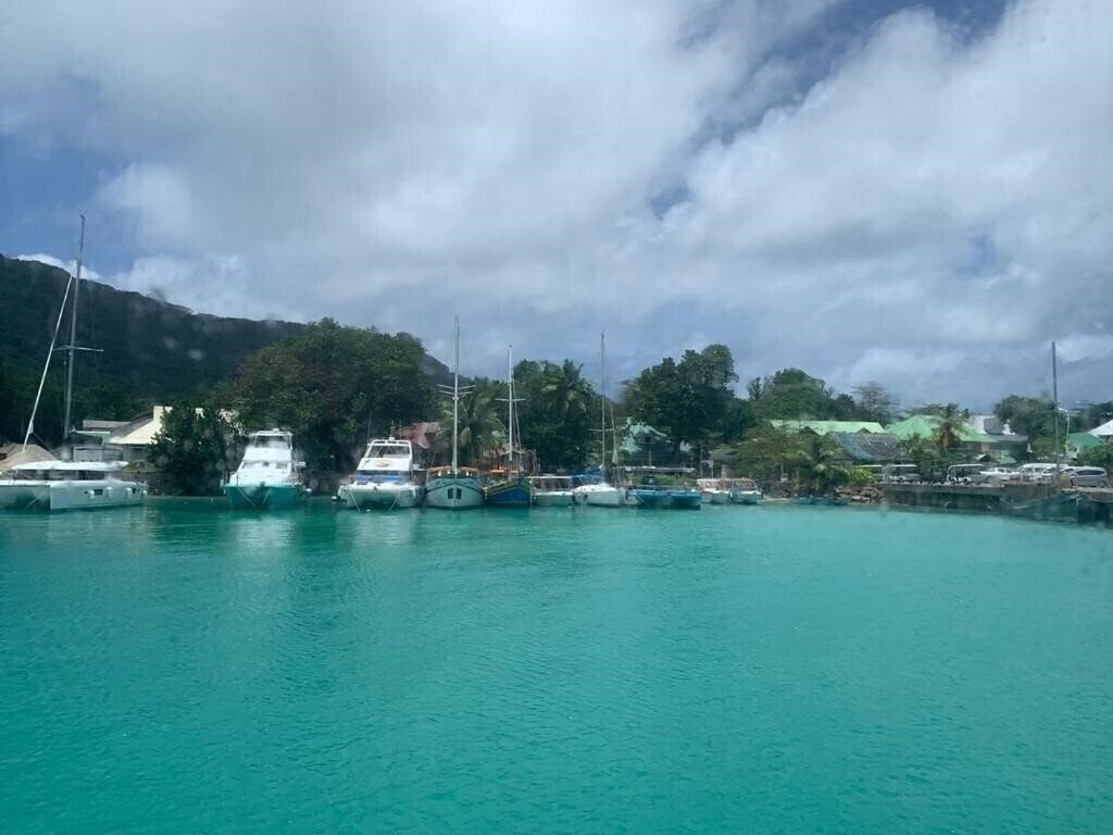 Картинка Kot Babi 2*