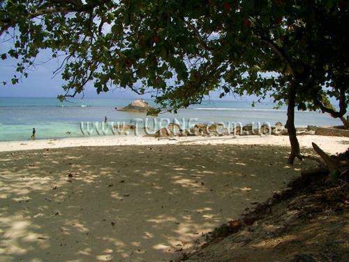 Le Pti Payot Guest House 2* суреті