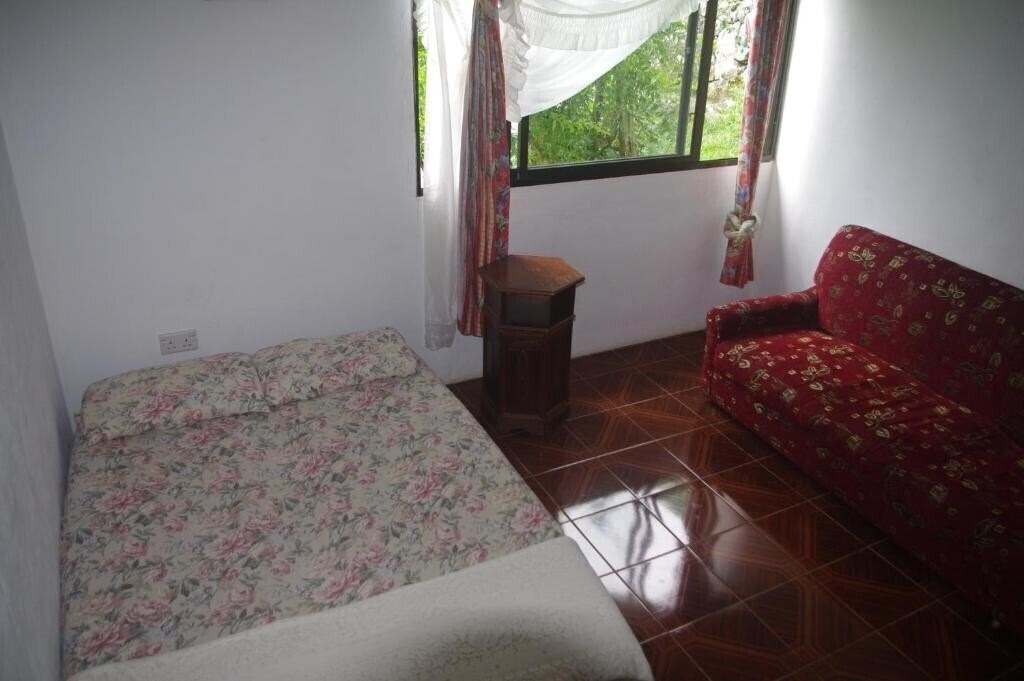 Фото Papaya Guesthouse 3*