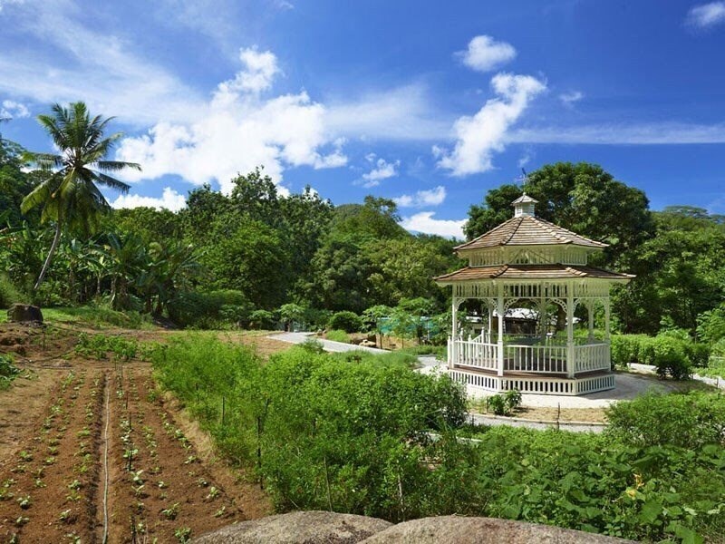 Banyan Tree Seychelles 5* суреті