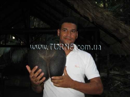 Beach Villas 2* суреті