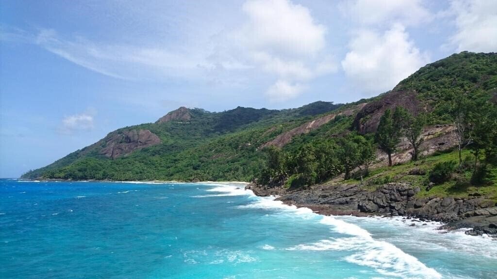 La Belle Tortue 4* суреті