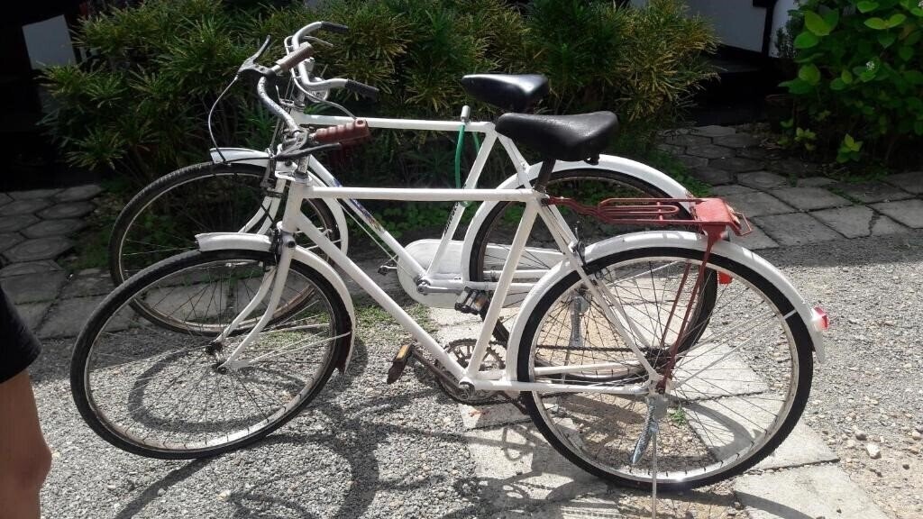 Anara Villa 3* суреті