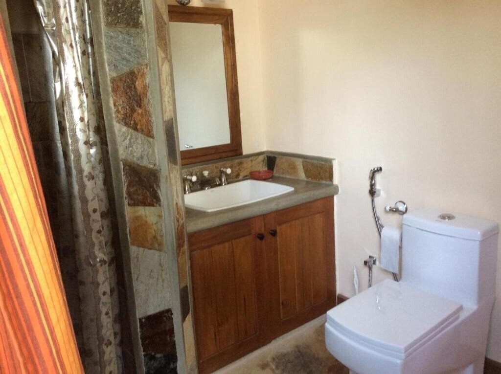 Mount Havana 4* суреті