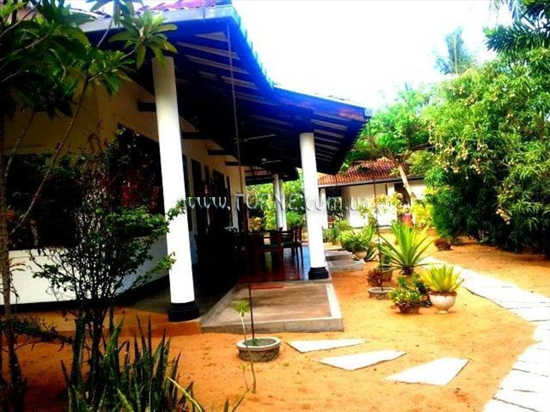 The Danish Villa 2* фотосуреті