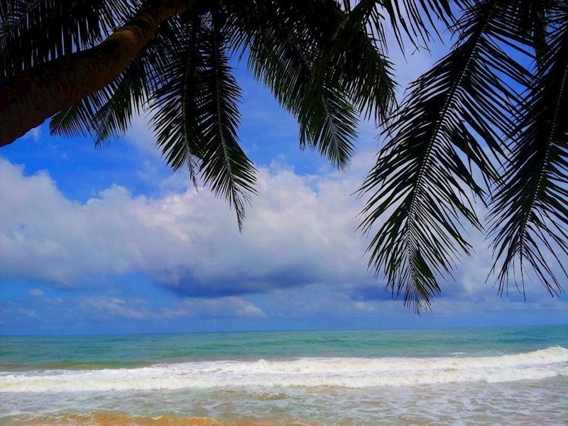 Фото Ocean of Life Ayurvedic Resort 3*