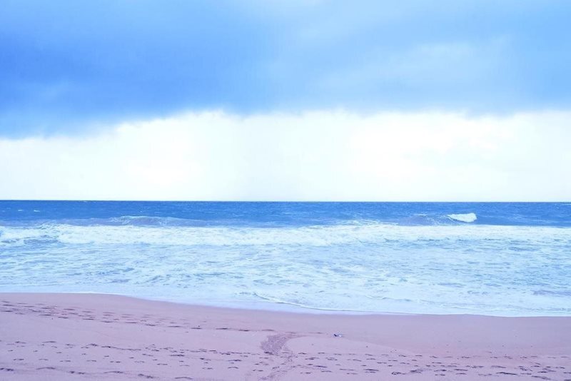 Ocean of Life Ayurvedic Resort 3* суреті