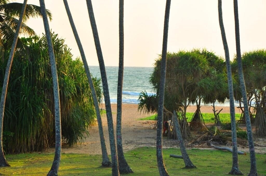 The Ocean Breeze Bentota 3* қонақ үйі