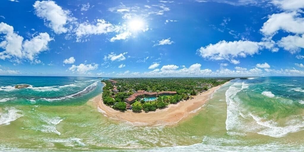 The Palms Hotel 4* суреті