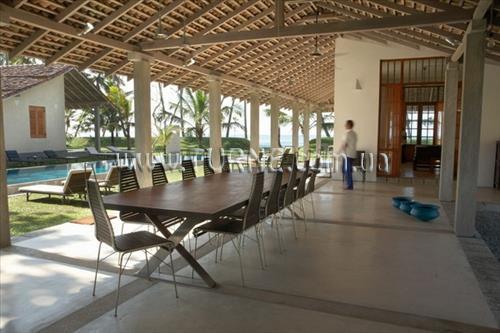 Frangipani Tree 5* суреті