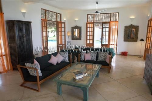 Frangipani Tree 5* суреті