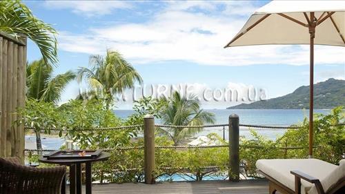 Frangipani Tree 5* фотосуреті