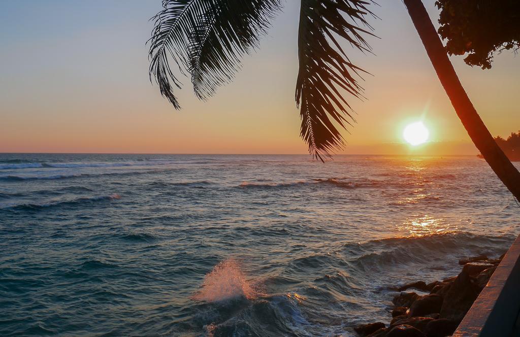 Cantaloupe Aqua 4* суреті