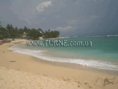 Фотография Seagreen Guesthouse отель без категории