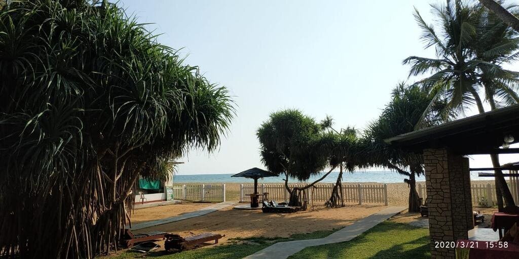 Green Shadows Beach Hotel 2* фотосуреті