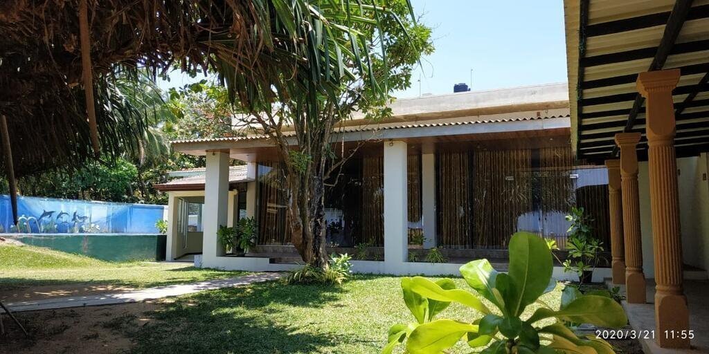 Green Shadows Beach Hotel 2* суреті