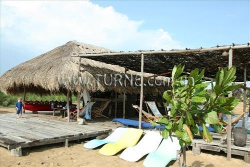 Bar Reef Alankuda 3* суреті