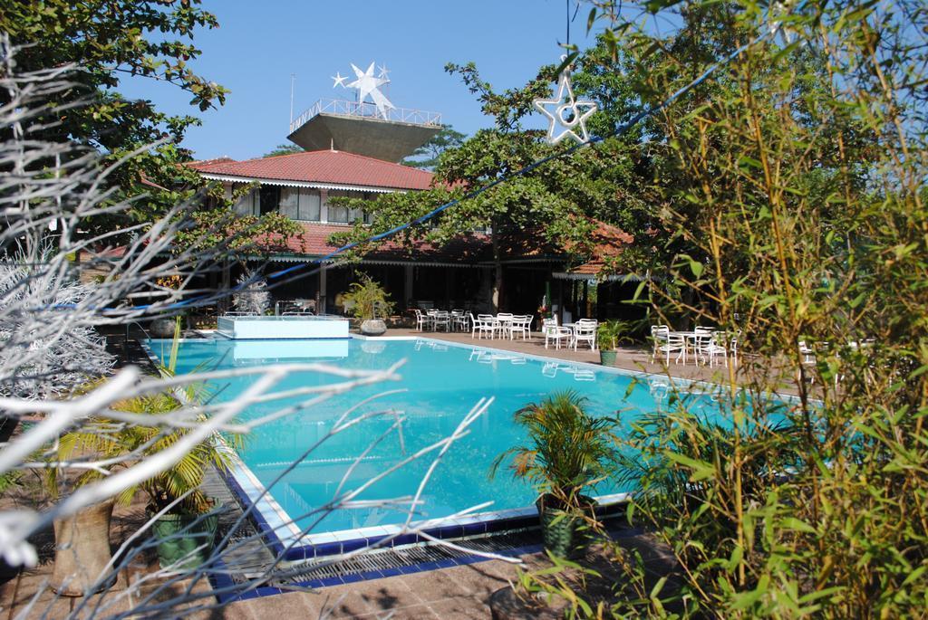 Фото Tree Of Life 4*