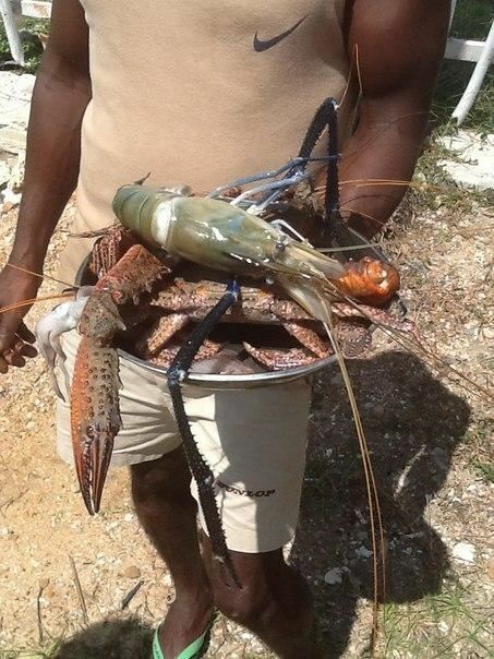 Фото Villa 96 Boutique Hotel 3*