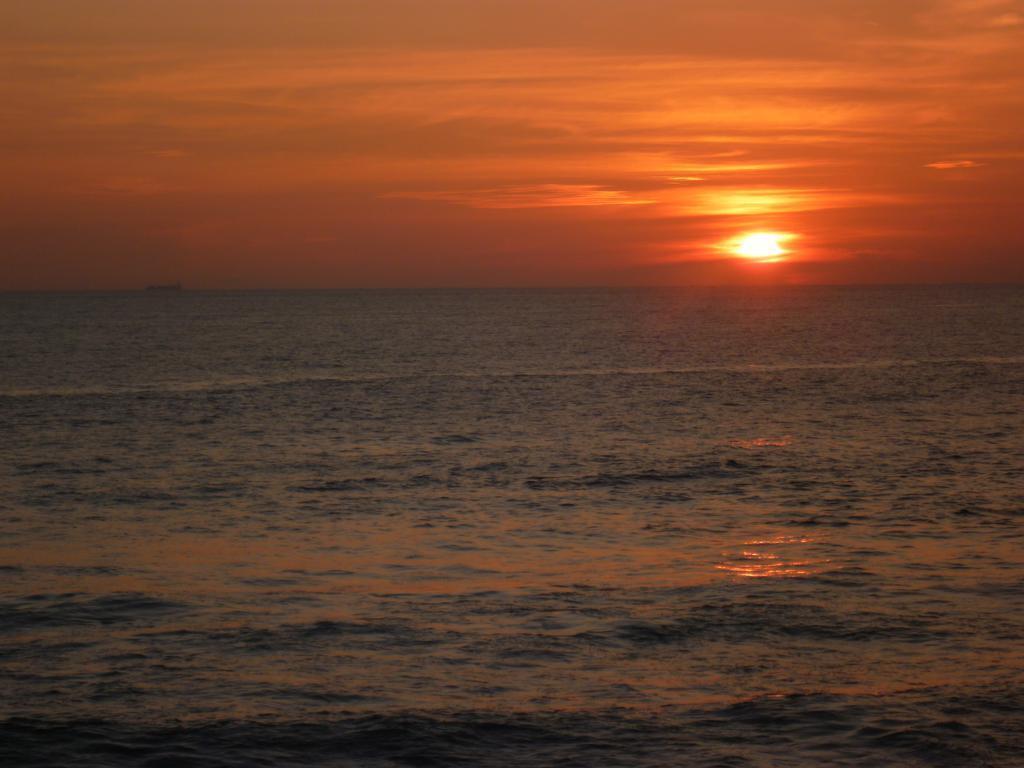 Nippon Villa Beach Resort 2* суреті