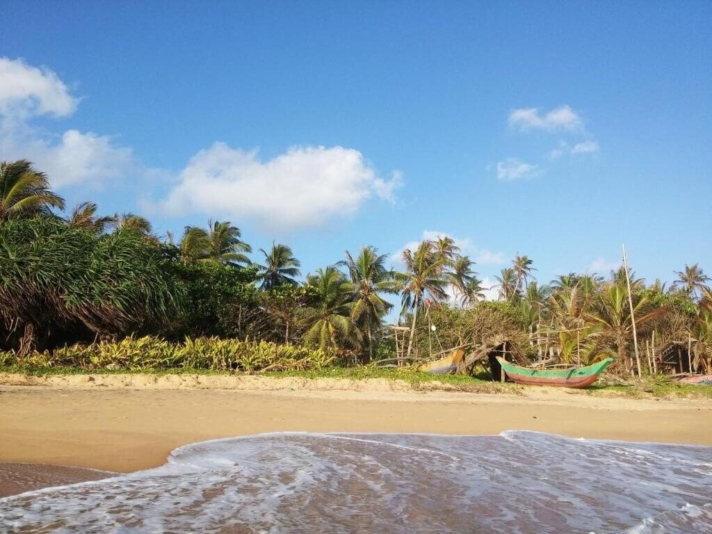 Diana Hikkaduwa 2* суреті