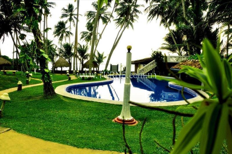 Dream Beach Resort 3* суреті