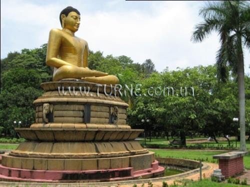 Фотография Clarion hotel 3*