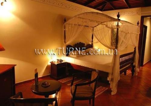 Palm Village 3* суреті