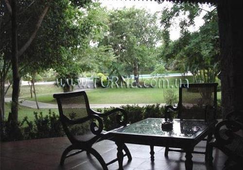 Palm Village 3* суреті