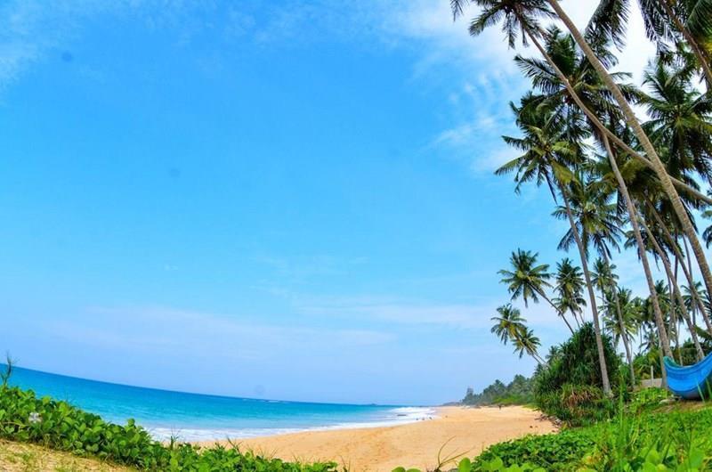 Фото Rainbow Beach Hotel 3*