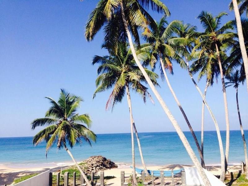 Rainbow Beach Hotel 3* суреті