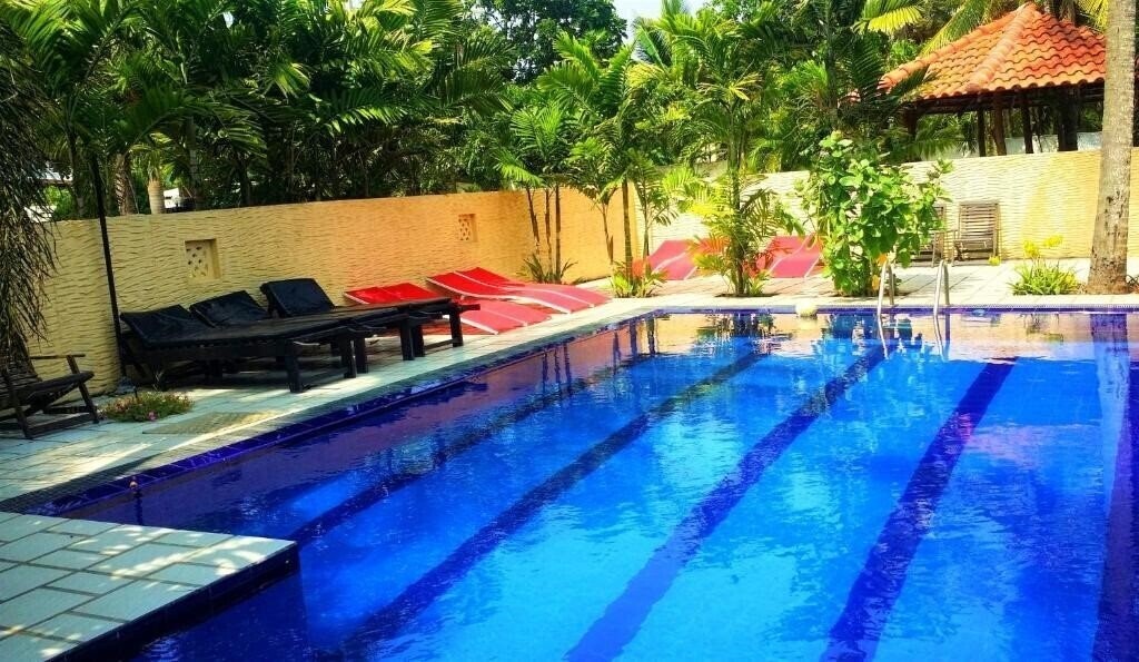 Maple Leaf 2* суреті