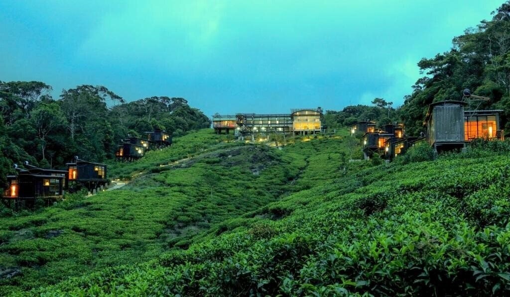 The Rainforest Ecolodge 3* қонақ үйі