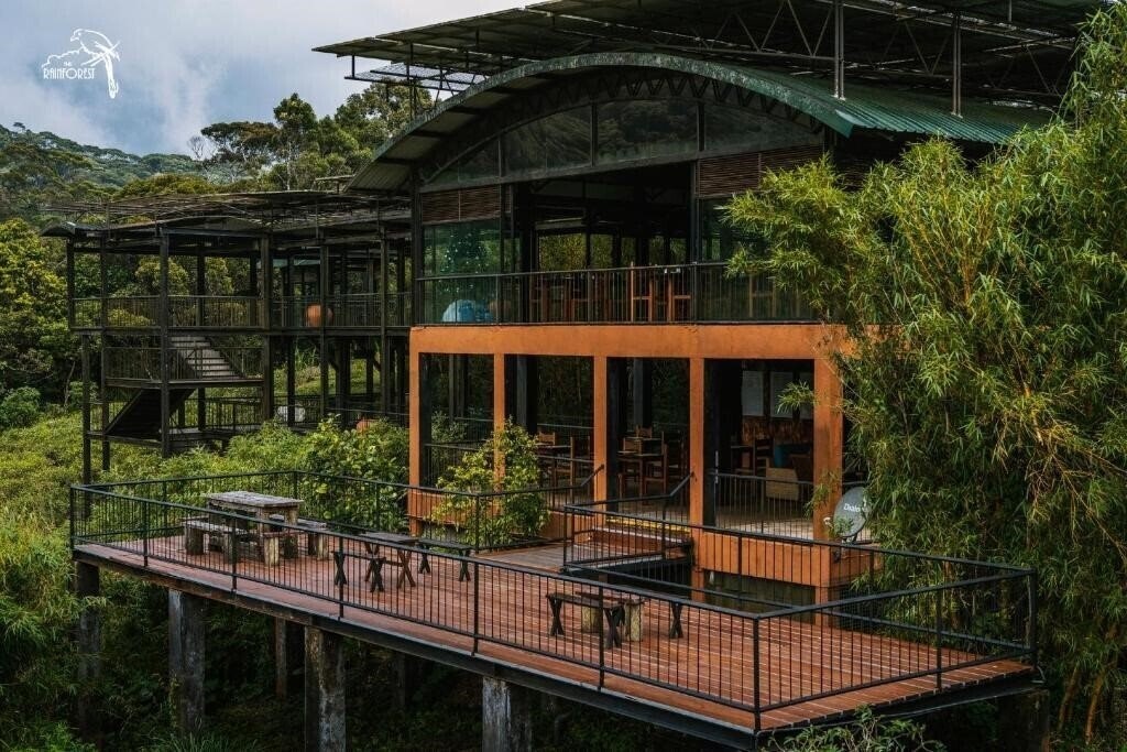 The Rainforest Ecolodge 3* суреті