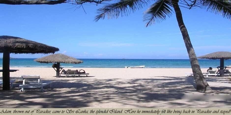 Nilaveli Crystal Blue Hotel 3* қонақ үйі