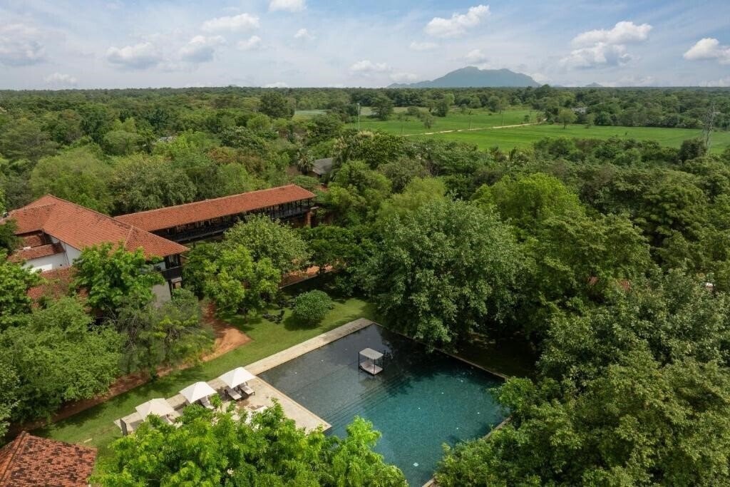 Отель Sigiriya Jungles 4*
