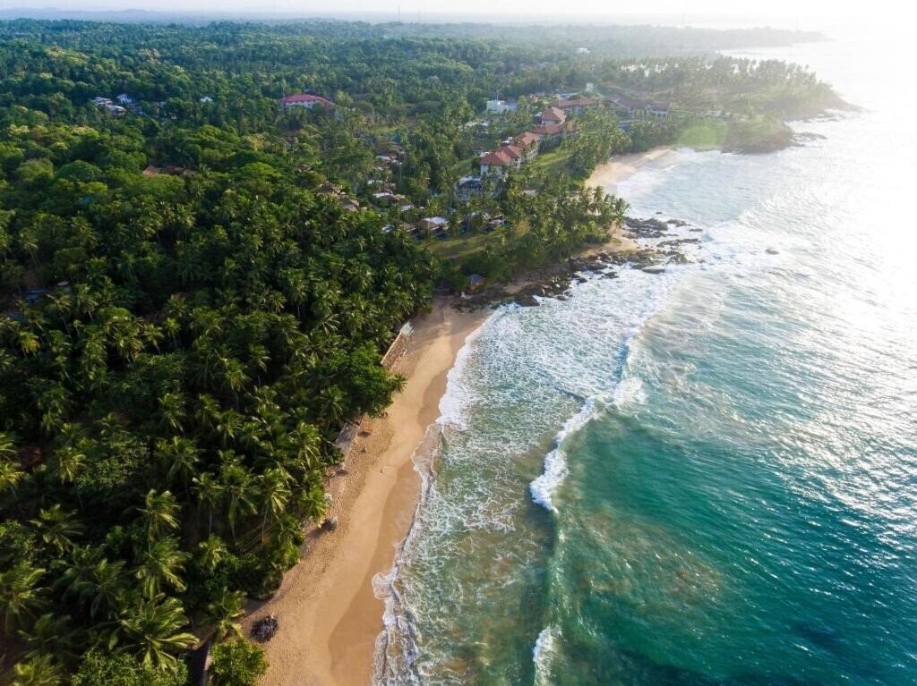 Отель Palm Paradise Cabanas 3*