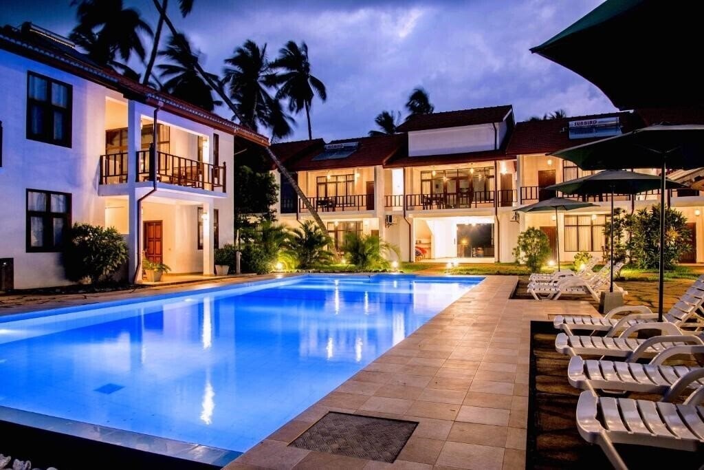 Green Parrot 4* фотосуреті