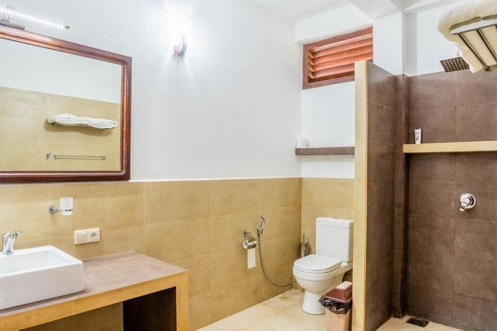 Green Parrot 4* суреті