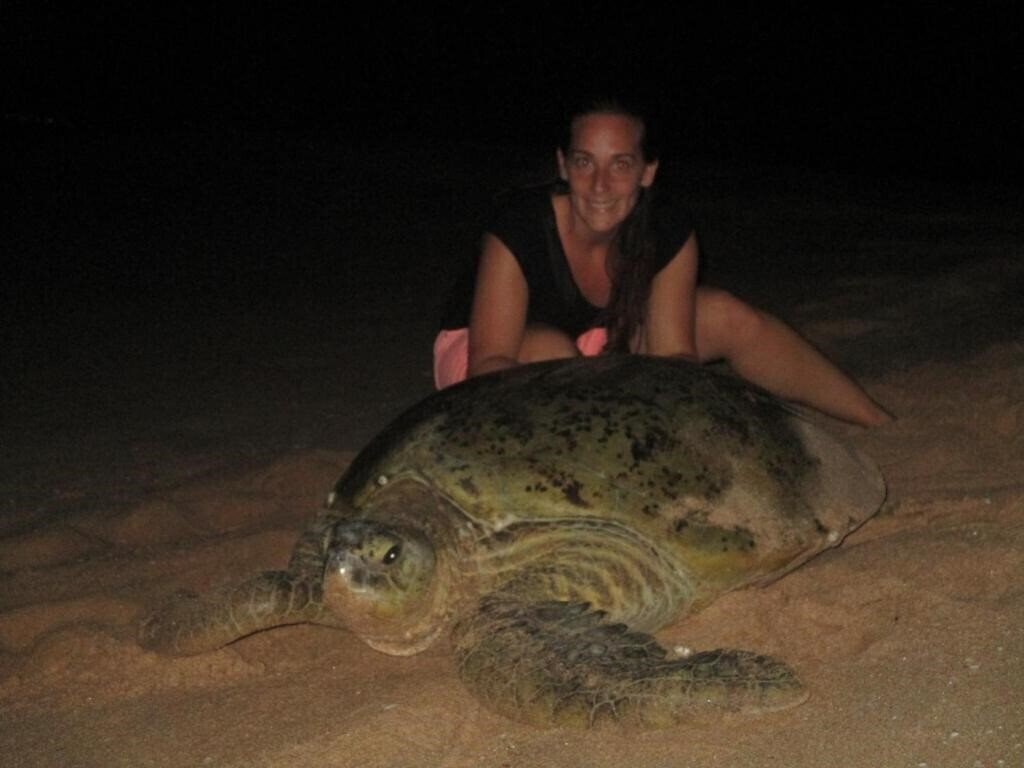 All View Resort отель без категории қонақ үйі