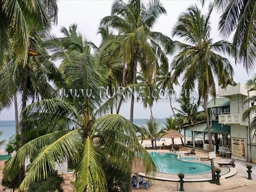 Фото Sea Lotus Park 3*