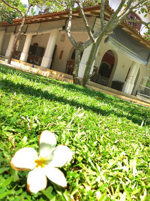 Amor Villa 3* фотосуреті