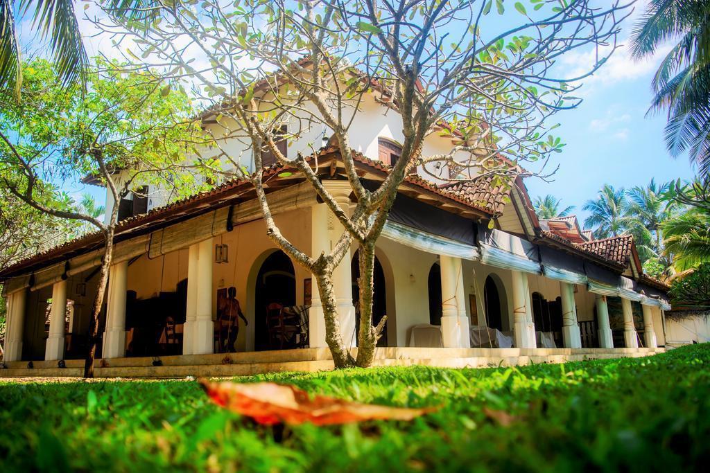 Amor Villa 3* суреті