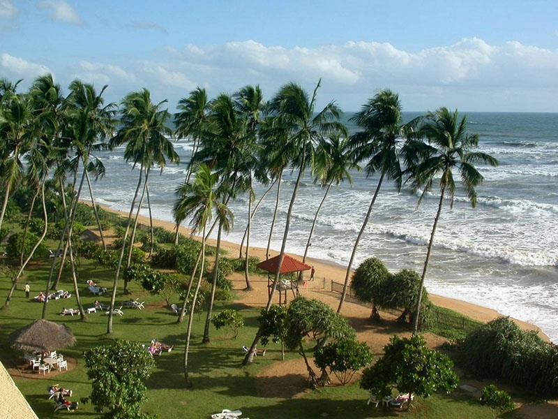 White Surfing Beach 2* суреті